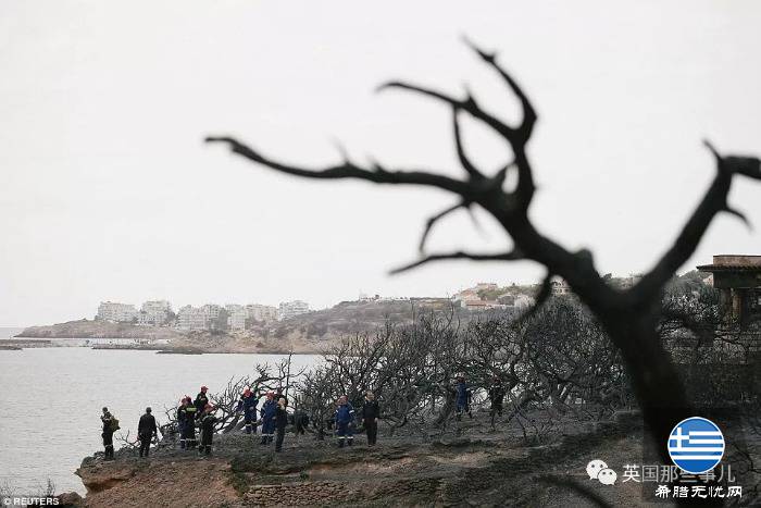 昏天暗地!这场让希腊几乎陷入瘫痪的野火,居然可能是人为的?